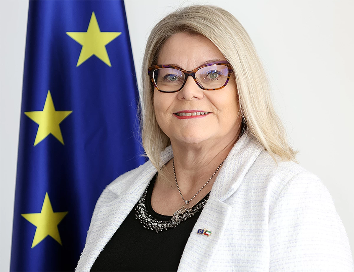 EU-Kuwait relations mark 40 years of cooperation
