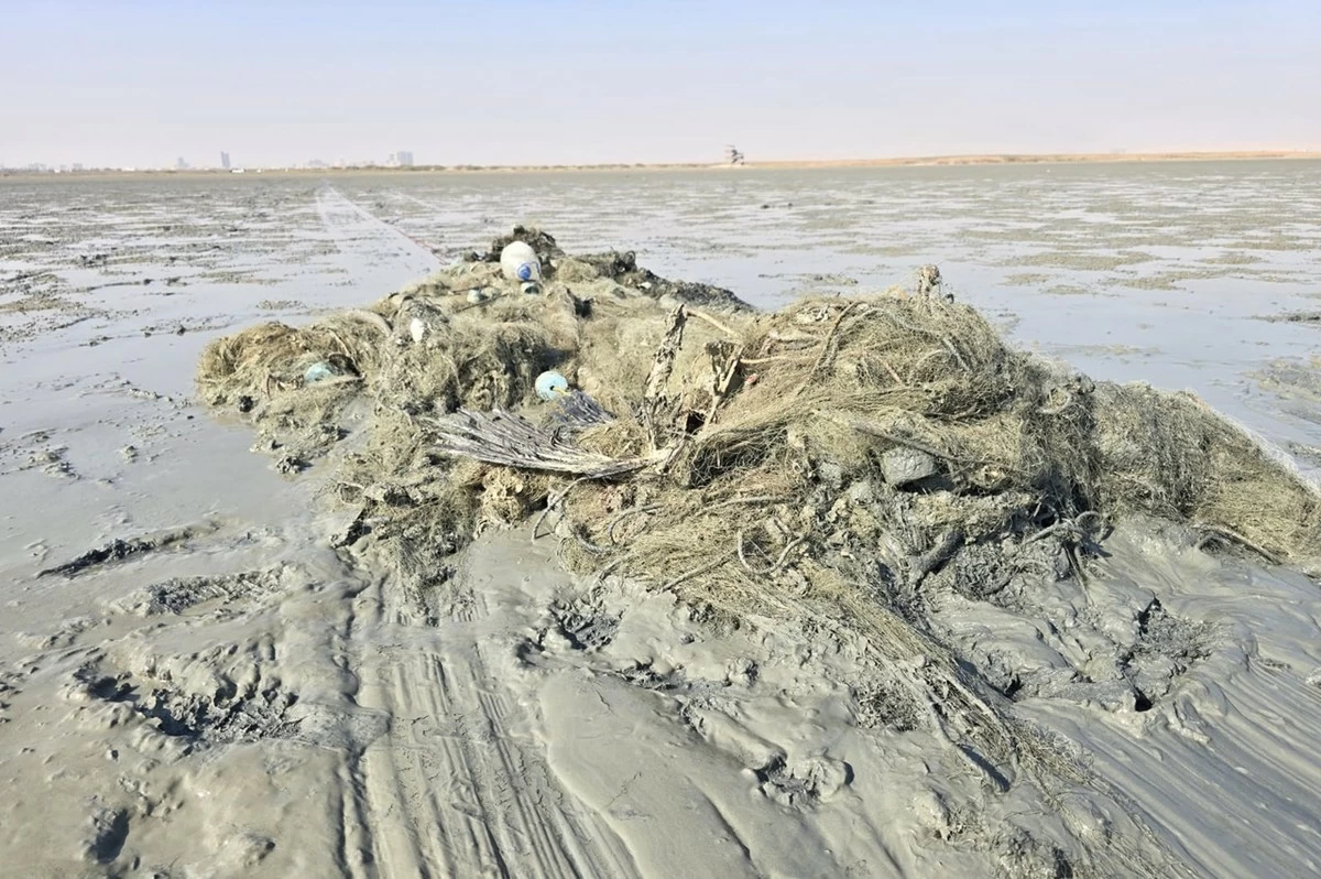 Kuwaiti volunteers, authorities join Dive Team to rehabilitate Kuwait Bay