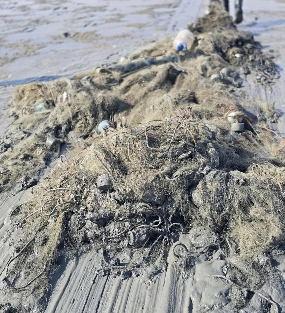 Kuwaiti volunteers, authorities join Dive Team to rehabilitate Kuwait Bay