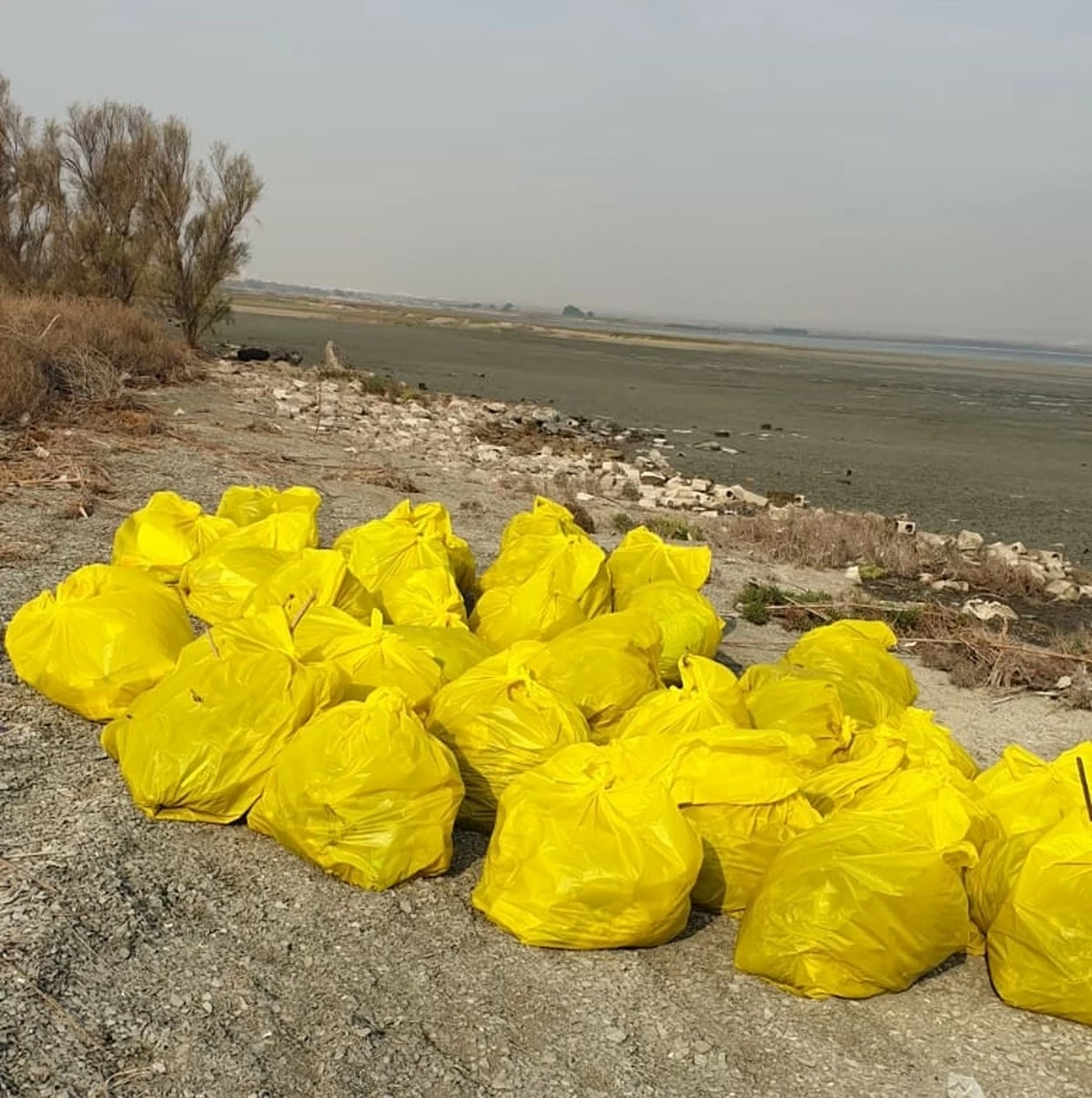 Kuwaiti volunteers, authorities join Dive Team to rehabilitate Kuwait Bay