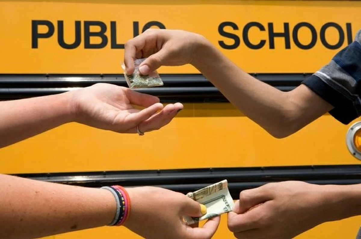 Anti-drug law lessons to be added to middle school curricula