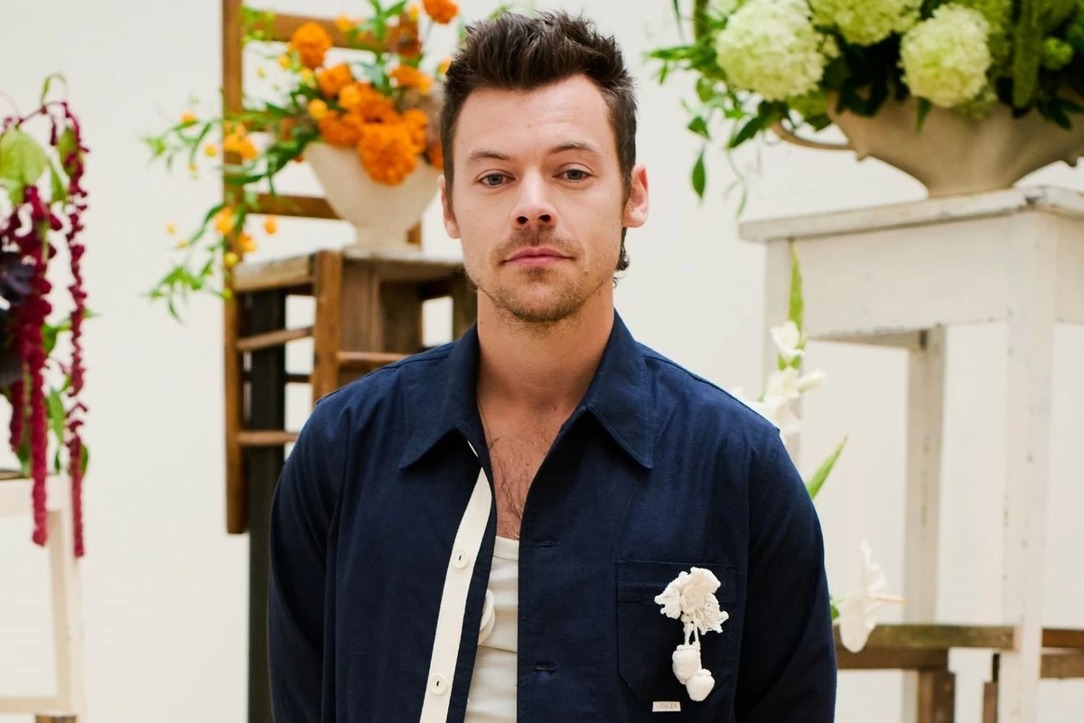 Harry Styles teases comeback with cryptic posters and new website