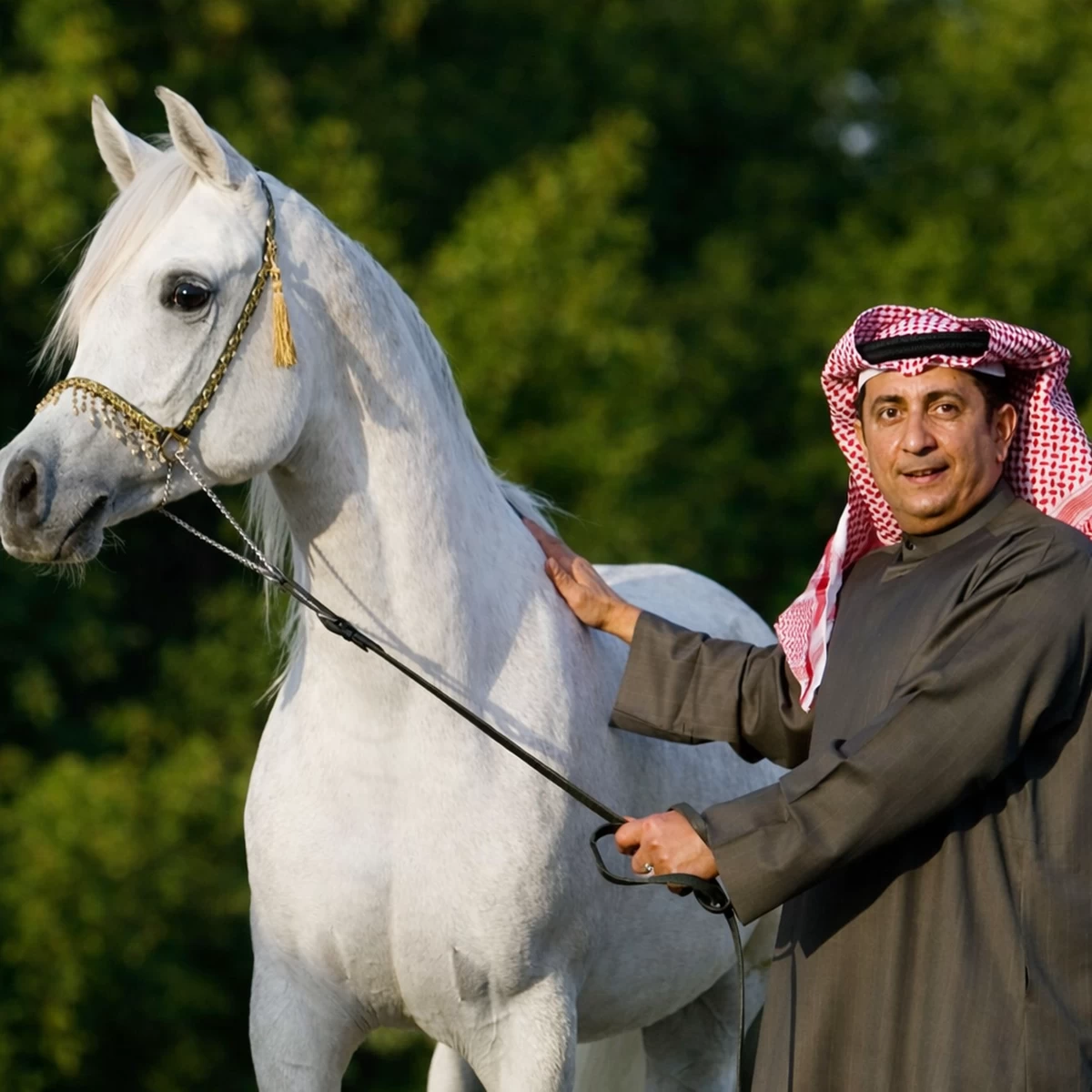Al-Omar: Ongoing commitment to supporting horse racing