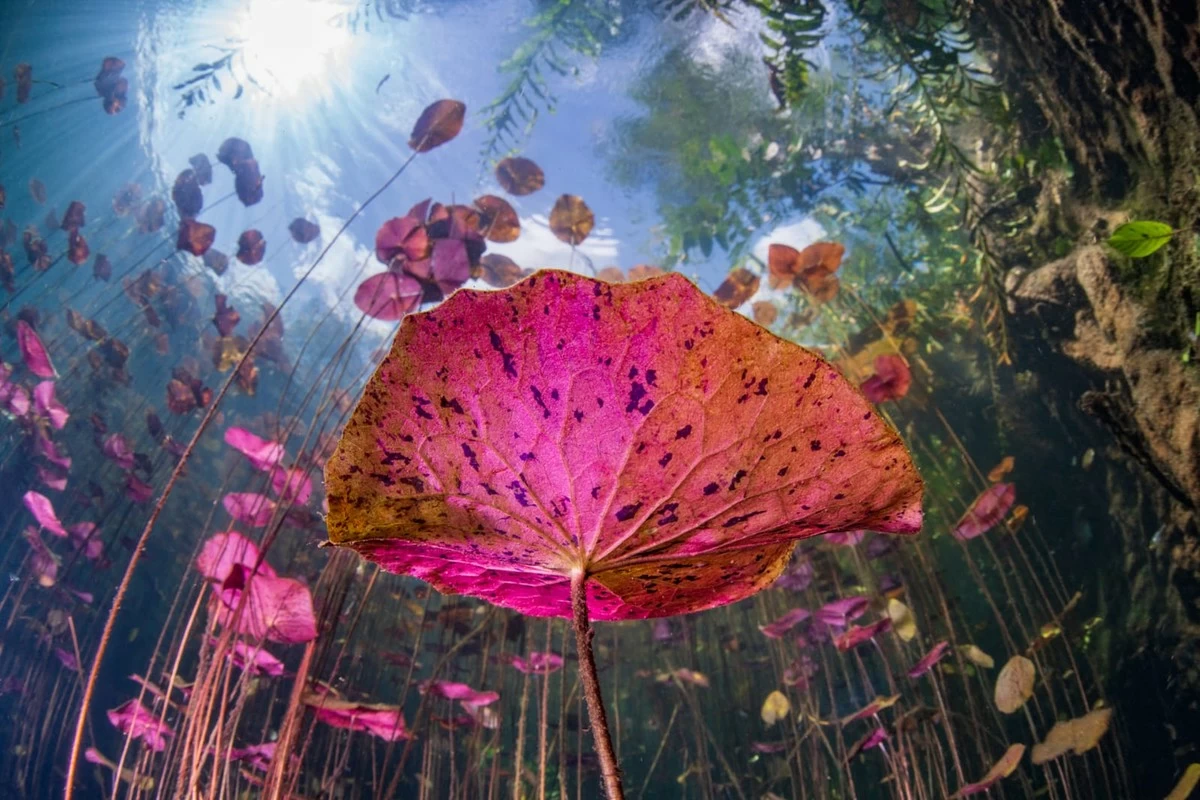 Kuwaiti photographers win top honors at Travel Photographer of the Year 2025 Awards