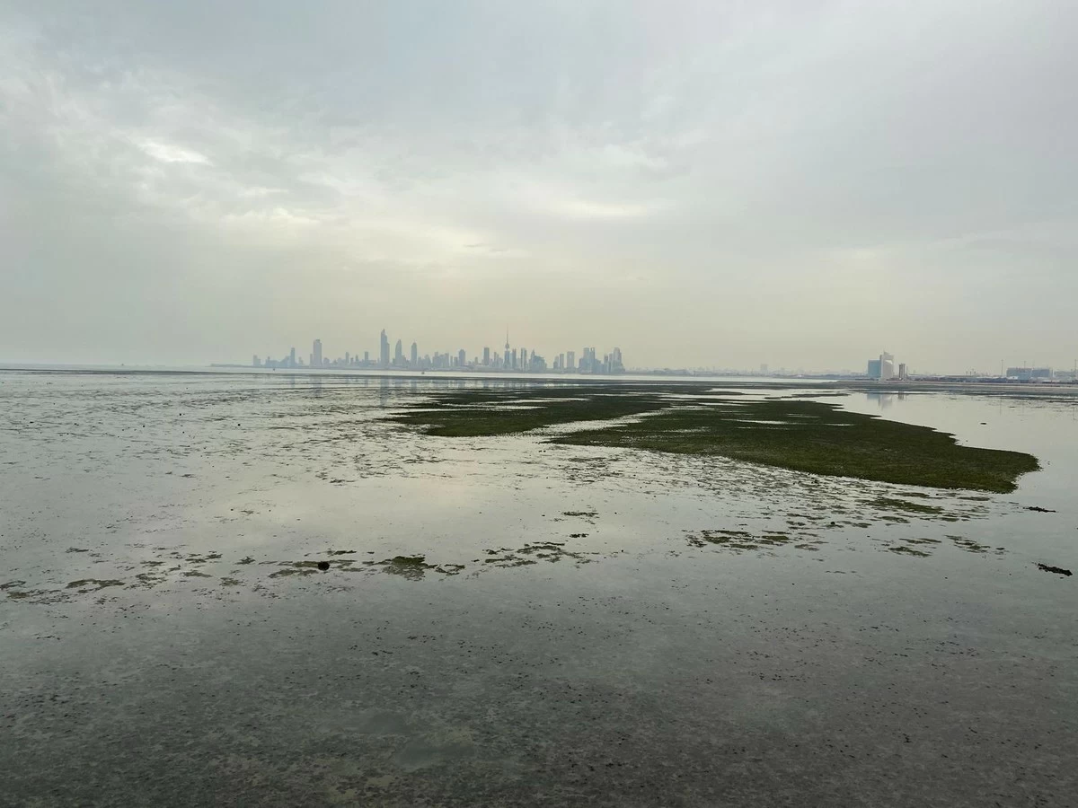 Kuwaiti Society calls wetland protection a national duty