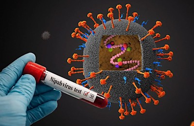 Bangladesh reports first confirmed Nipah virus fatality in 2026