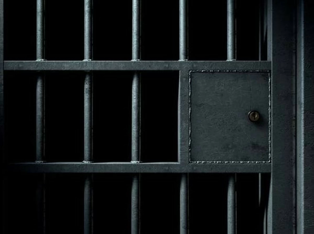 346 detained in T&uuml;rkiye anti-drug operation