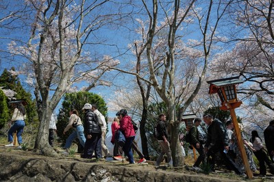 Japanese town sours on crowds coming to see cherry blossoms and Mount Fuji
