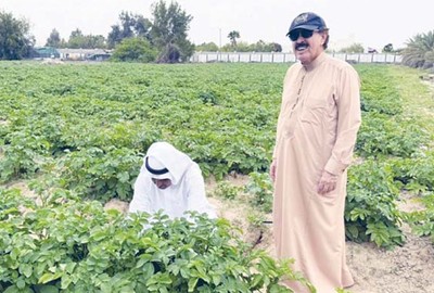 Jarallah: Hi-tech vital to boost agri products, poultry, livestock