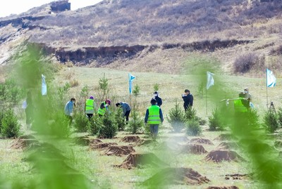 China’s tech innovation in tree planting reshapes efforts to ‘green’ arid land
