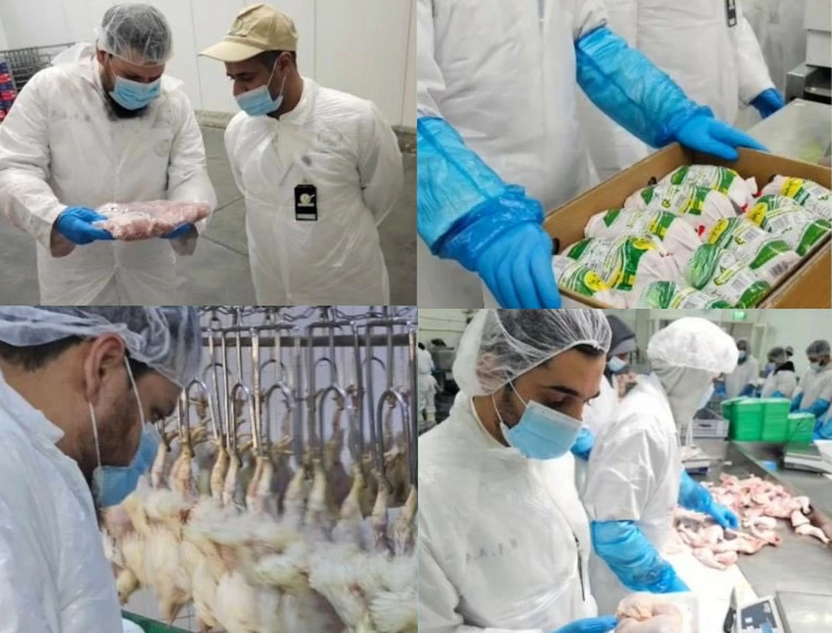 Kuwait Authorities Destroy 4.75 kg of Spoilt Poultry Liver in Jahra