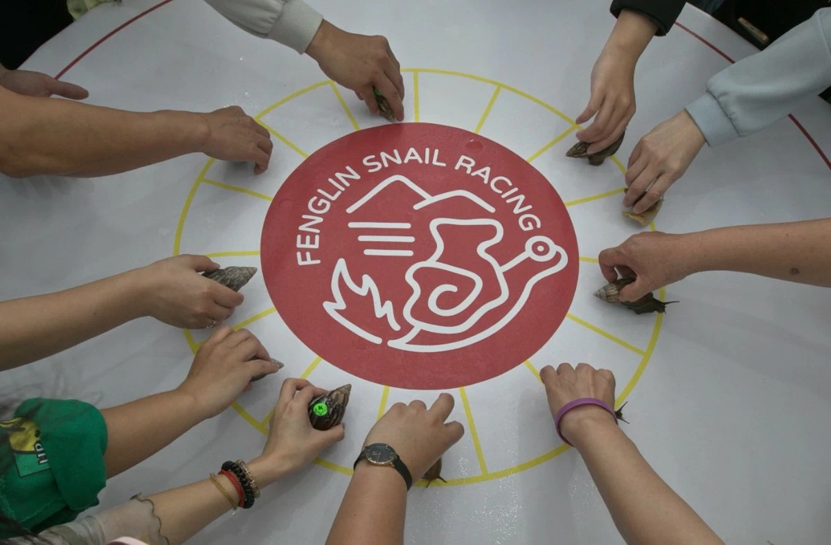 Snail races turn Taiwanese town into symbol of slow life movement