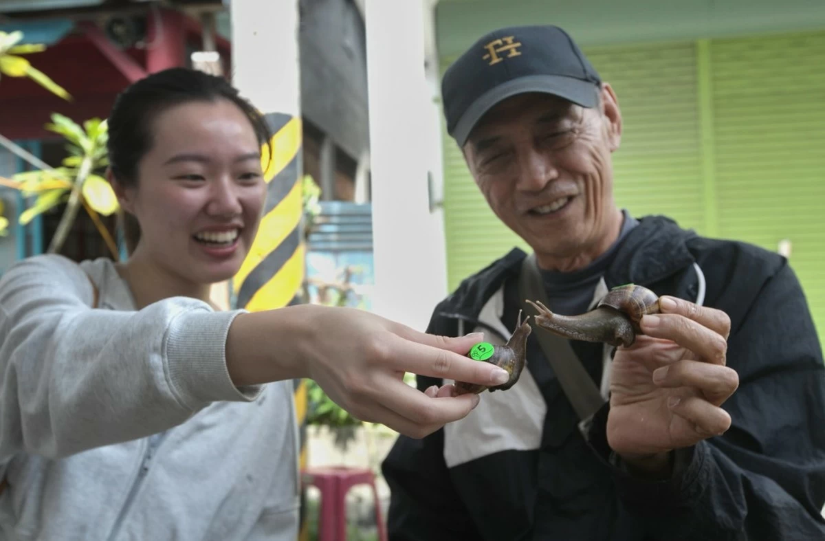 Snail races turn Taiwanese town into symbol of slow life movement
