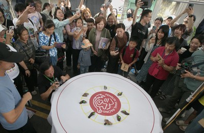 Snail races turn Taiwanese town into symbol of slow life movement