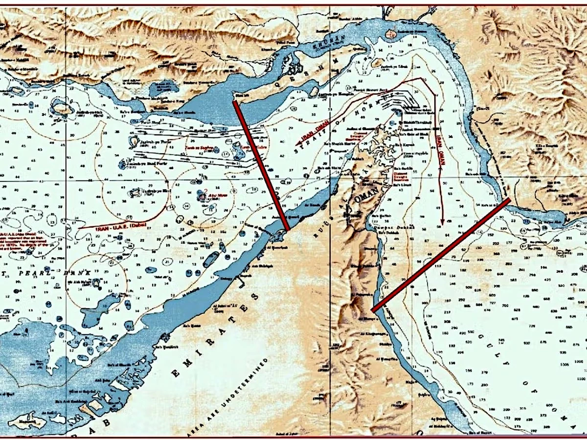 Germany urges Iran to open Strait of Hormuz as IEA warns of rapidly shrinking oil inventories