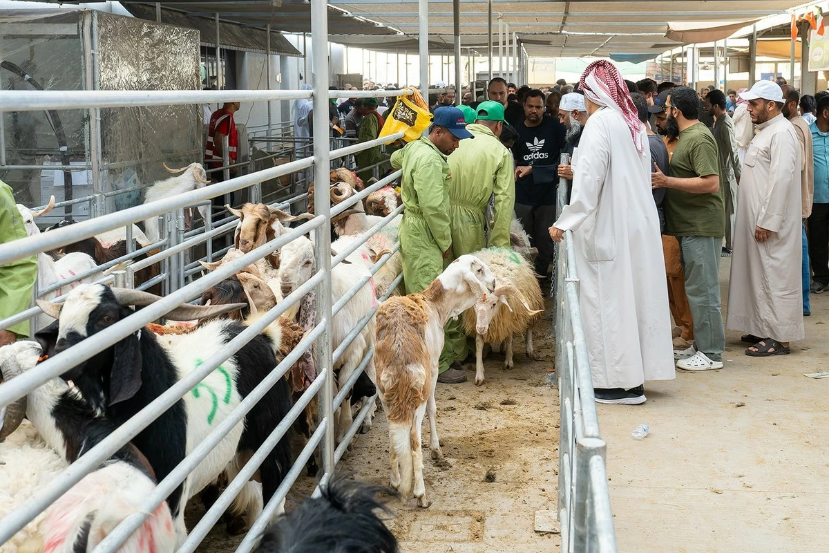 Kuwait Marks Eid Al-Adha with Sacrifices and Acts of Charity