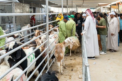 Kuwait Marks Eid Al-Adha with Sacrifices and Acts of Charity