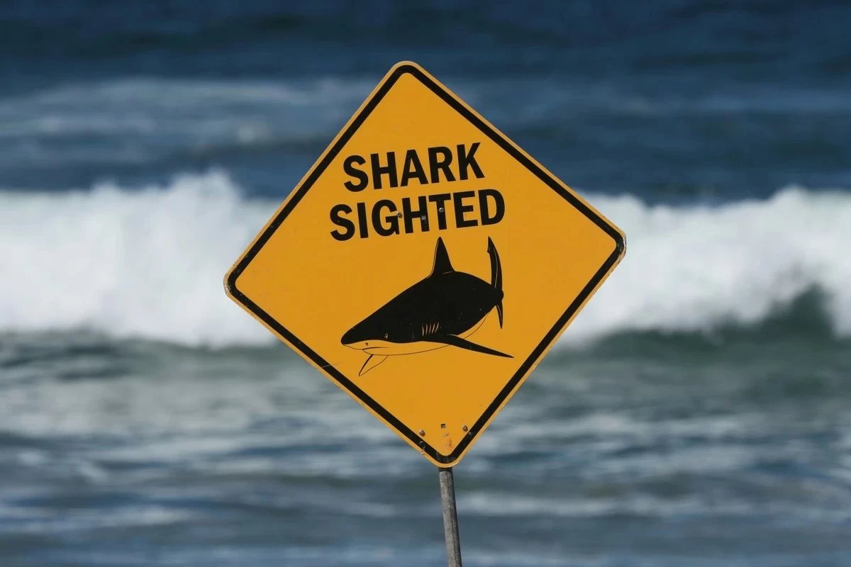 Woman critically injured in shark attack off Sydney&rsquo;s Coogee Beach