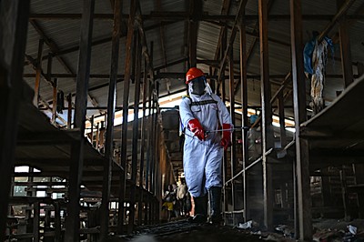 Forscher starten Studie zu Ebola-Behandlungen, während sich der Ausbruch ...