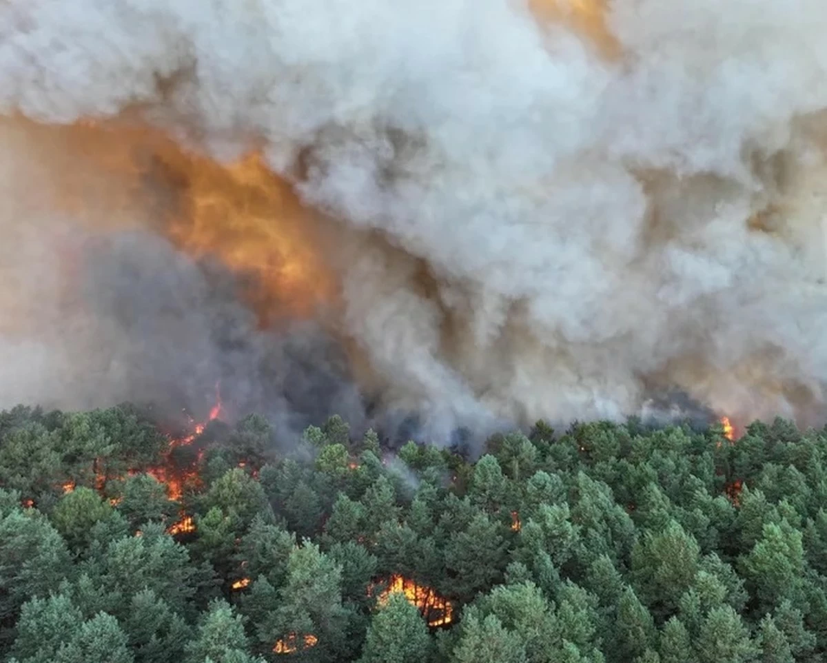 Fire in Fontainebleau forest near Paris forces evacuations