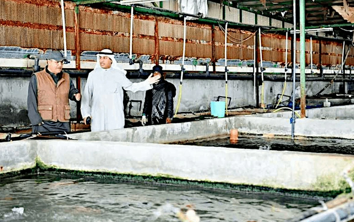 &lsquo;Fish farms to reduce rates by more than fifty percent&rsquo;