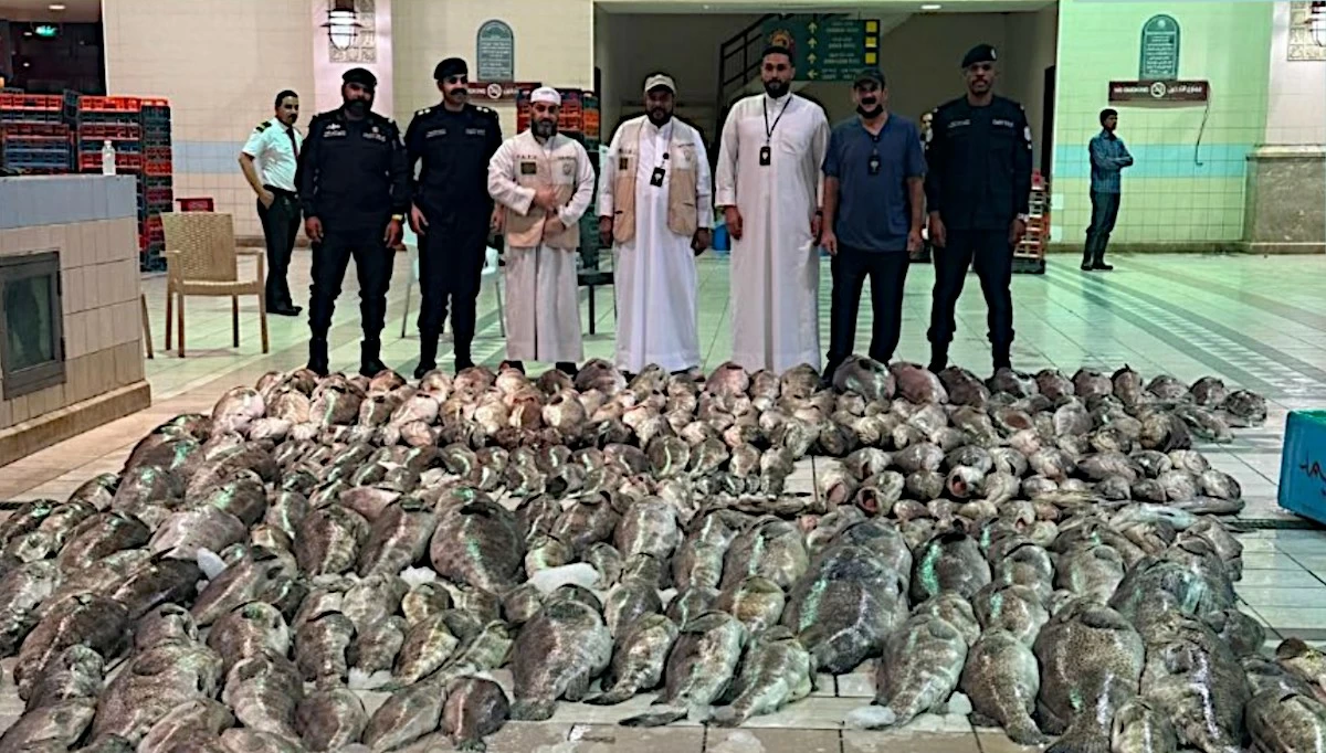 Be Careful Buying Fish at Kuwait's Waterfront Market as 3.2 Tons of Rotten Fish Seized