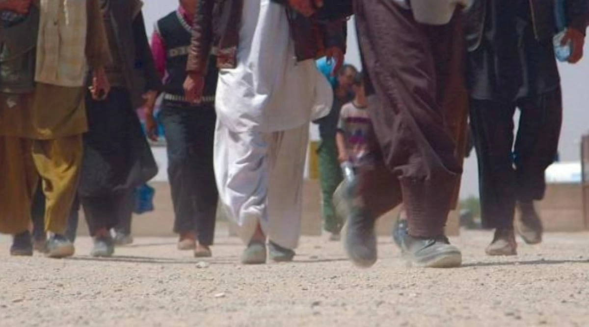 Five Afghans Die, 14 Missing After Attempting Illegal Crossing Into Iran Through Desert