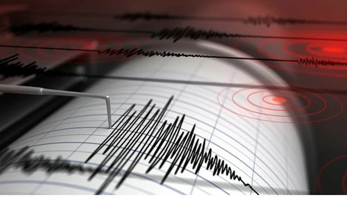 Magnitude 7.1 earthquake shakes part of southern Japan