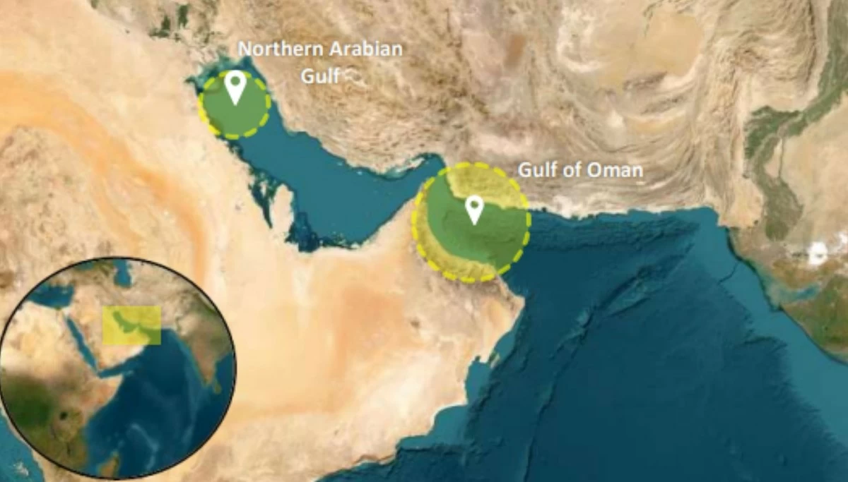 Several merchant vessels hit by disabling fire in Persian Gulf, Gulf of Oman