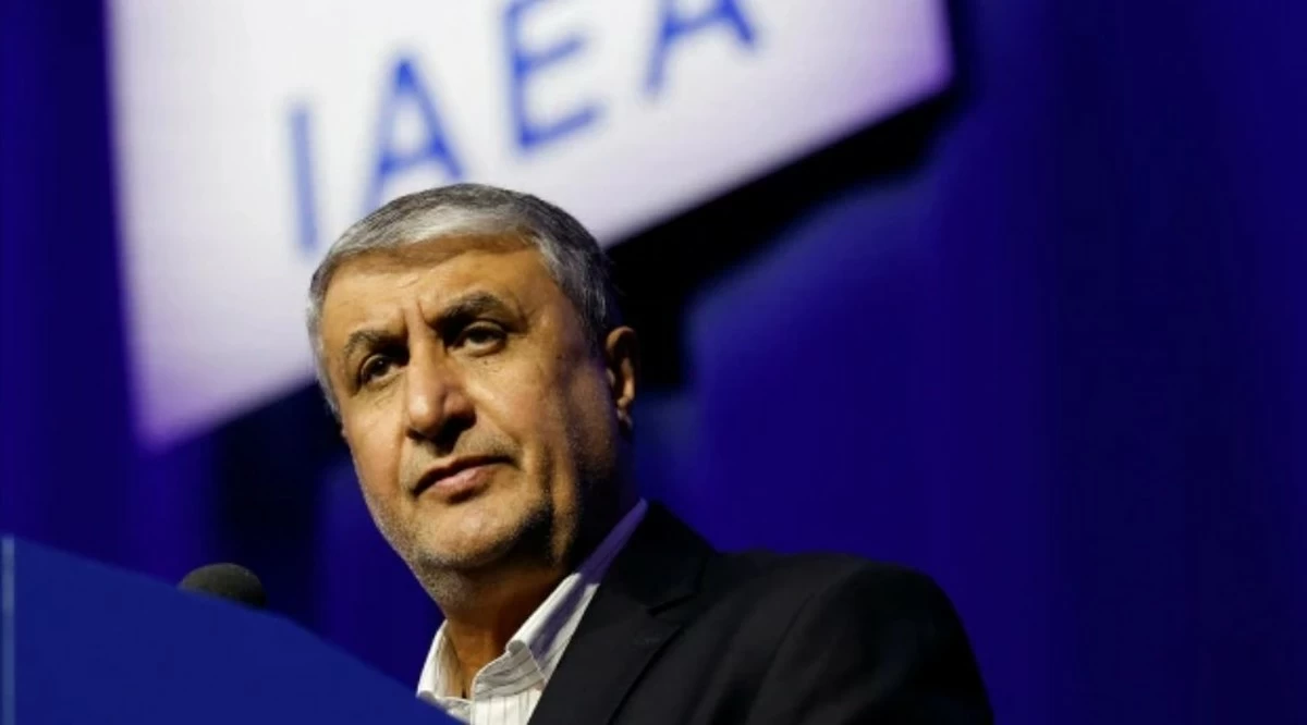 Iran Protests After Nuclear Chief Denied Entry to Vienna for IAEA Conference