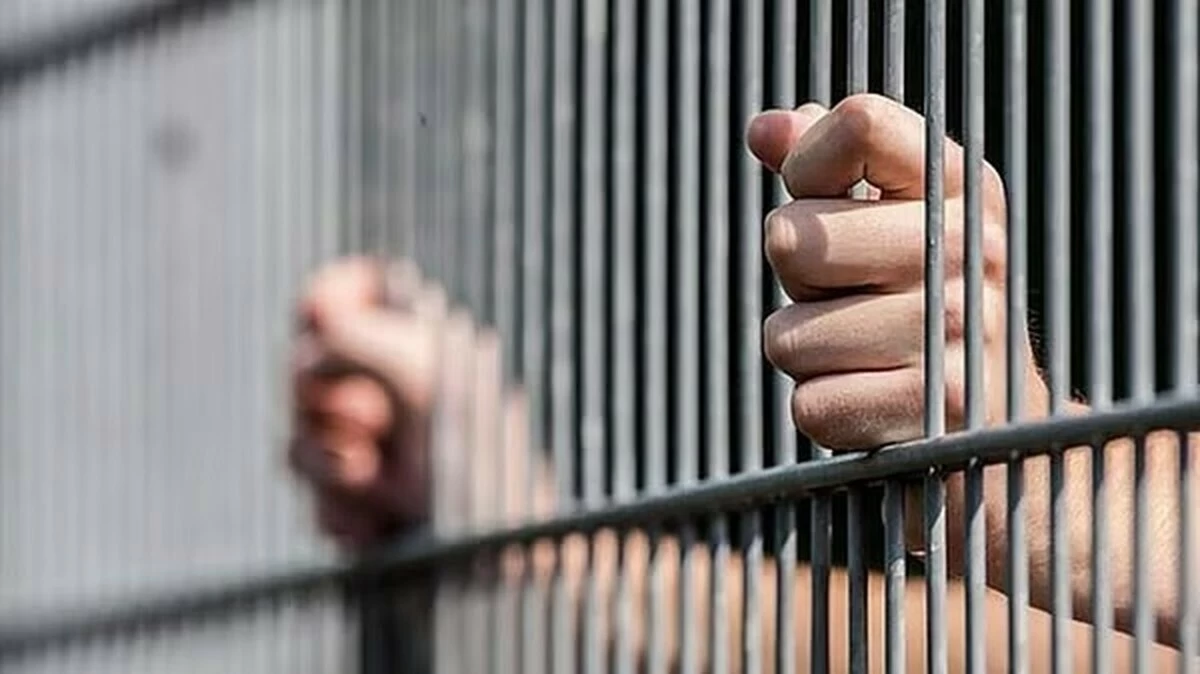Prison sentences in &lsquo;media&rsquo; cases