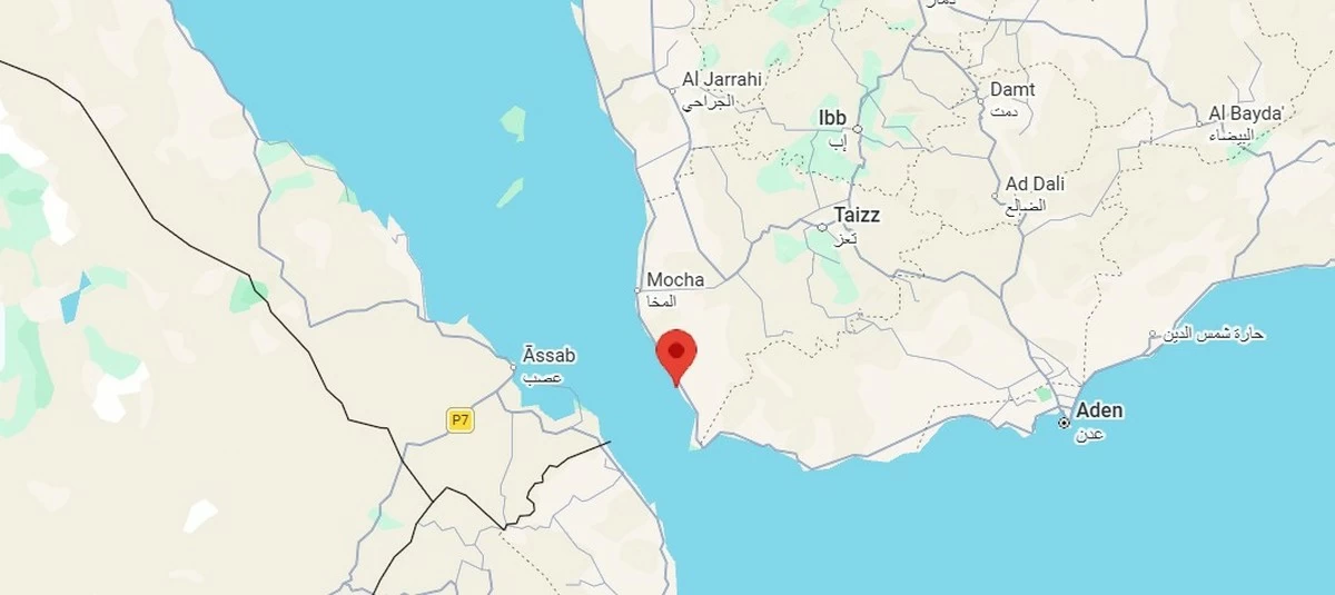 Yemeni forces seize Dhubab district in offensive near Bab el-Mandeb