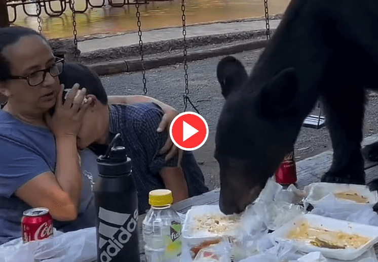 A mother’s love: Mexican mom’s brave act during bear encounter