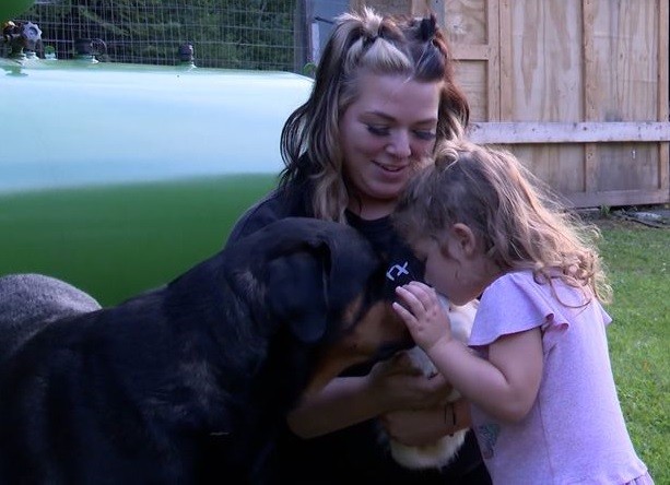A toddler lost in the woods was found asleep using the family dog â€‹â€‹as a pillow