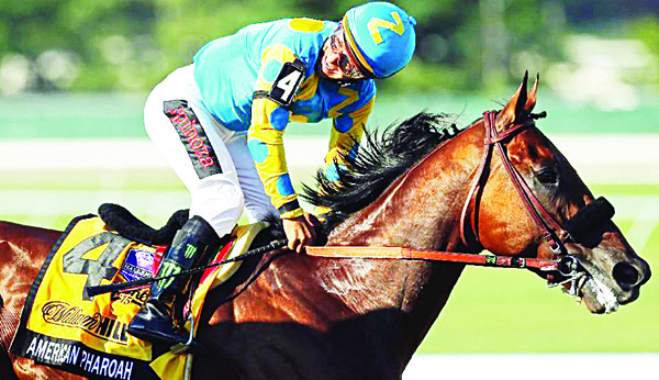 Victor Espinoza, riding atop American Pharoah, reacts after winning the 48th William Hill Haskell Invitational at Monmouth Park on Aug 2, 2015 in Monmouth, New Jersey (AFP)