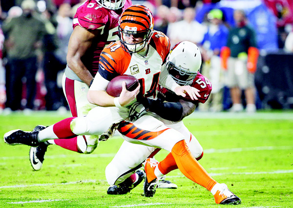 Arizona Cardinals inside linebacker Kenny Demens (54) sacks Cincinnati Bengals quarterback Andy Dalton (14) during the second half of an NFL football game on Nov 22, in Glendale, Arizona. (AP)