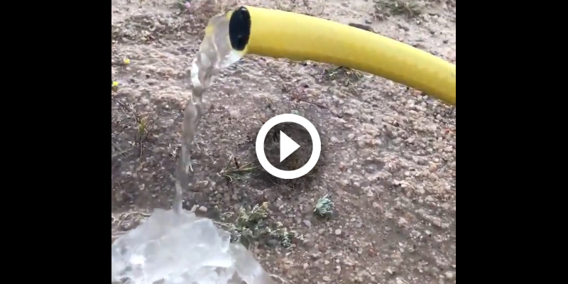 Freezing cold in Kuwait | arabtimes