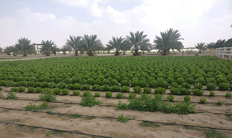 PAAAFR puts forward strategic plan for food security until ’2035