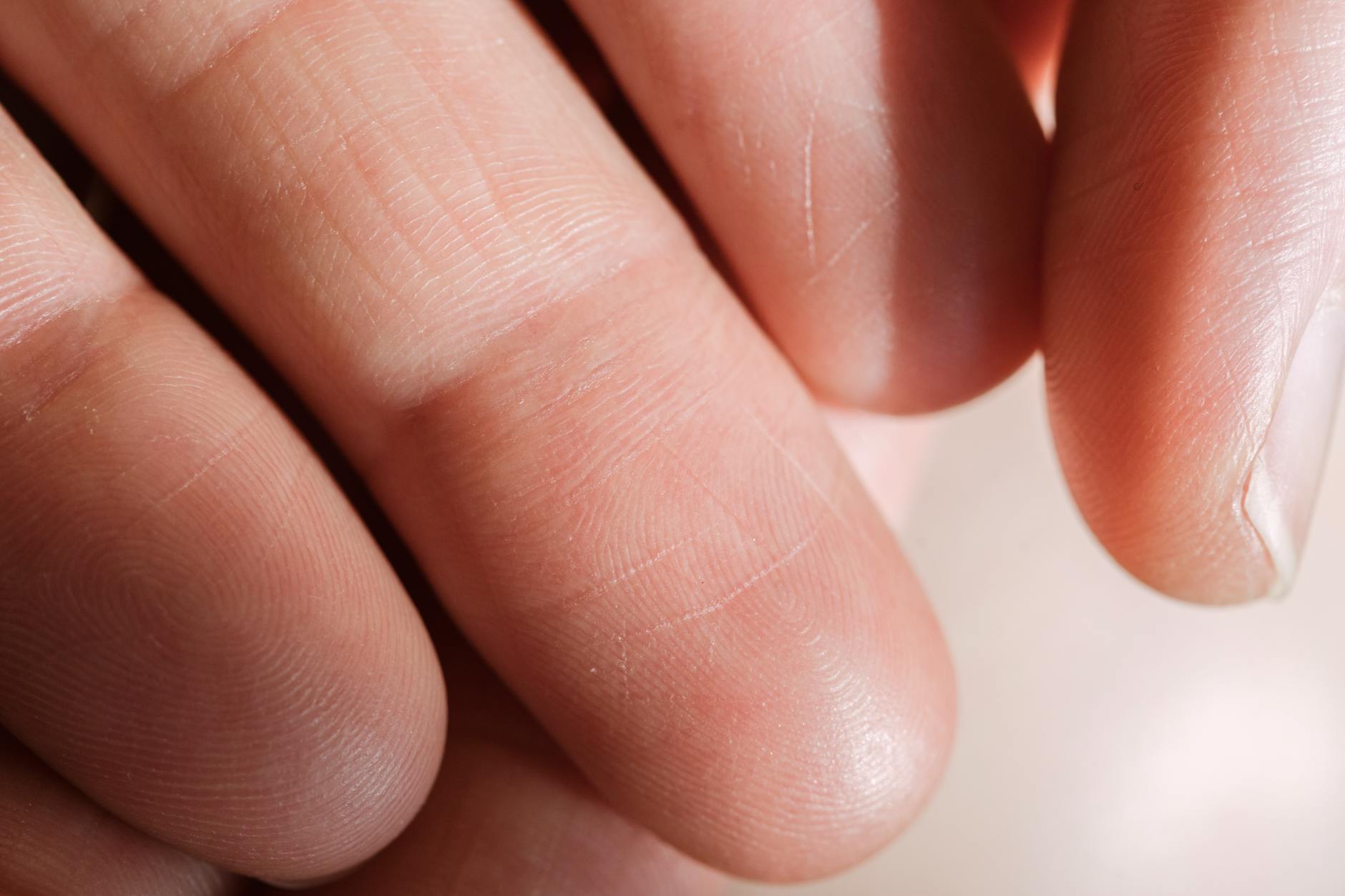 human s fingers in close up photography