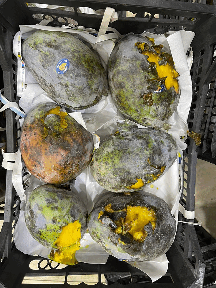 Hawalli's Food Crackdown Reveals Disturbing Violations | arabtimes