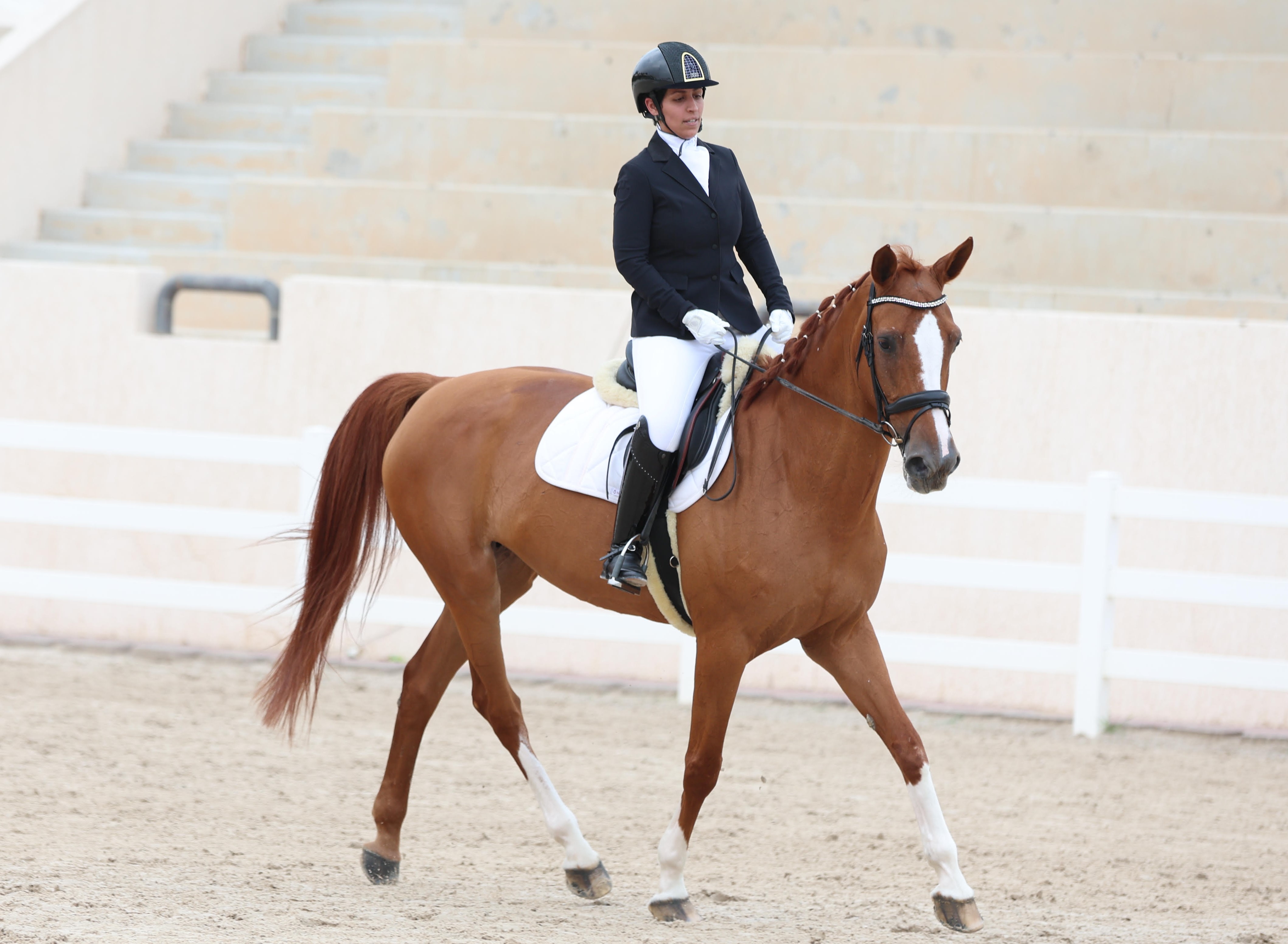 Kuwait Riding Club The third round of Kuwait Dressage League commences | arabtimes