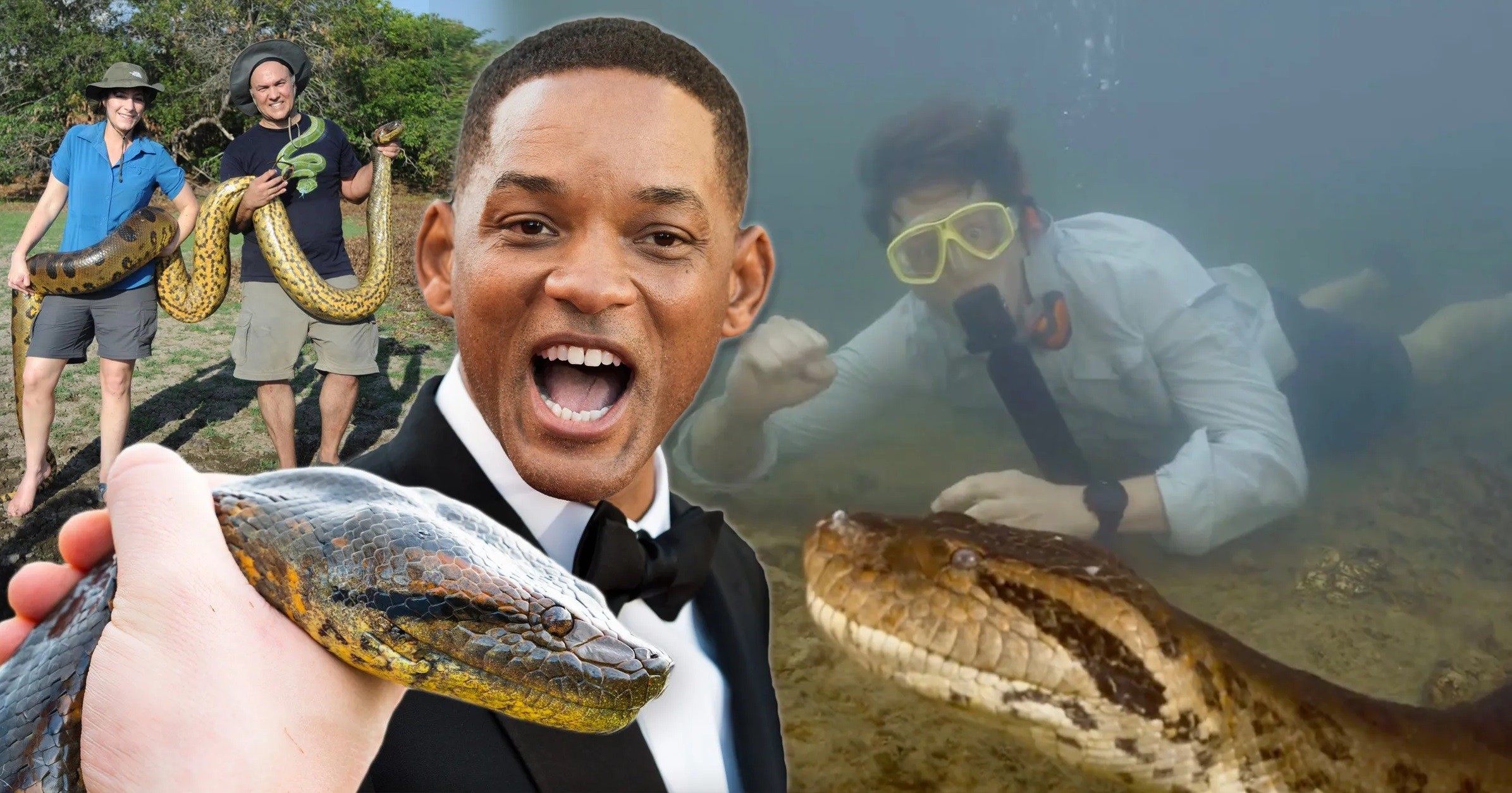 New giant snake species discovered during filming of Will Smith’s 'Pole